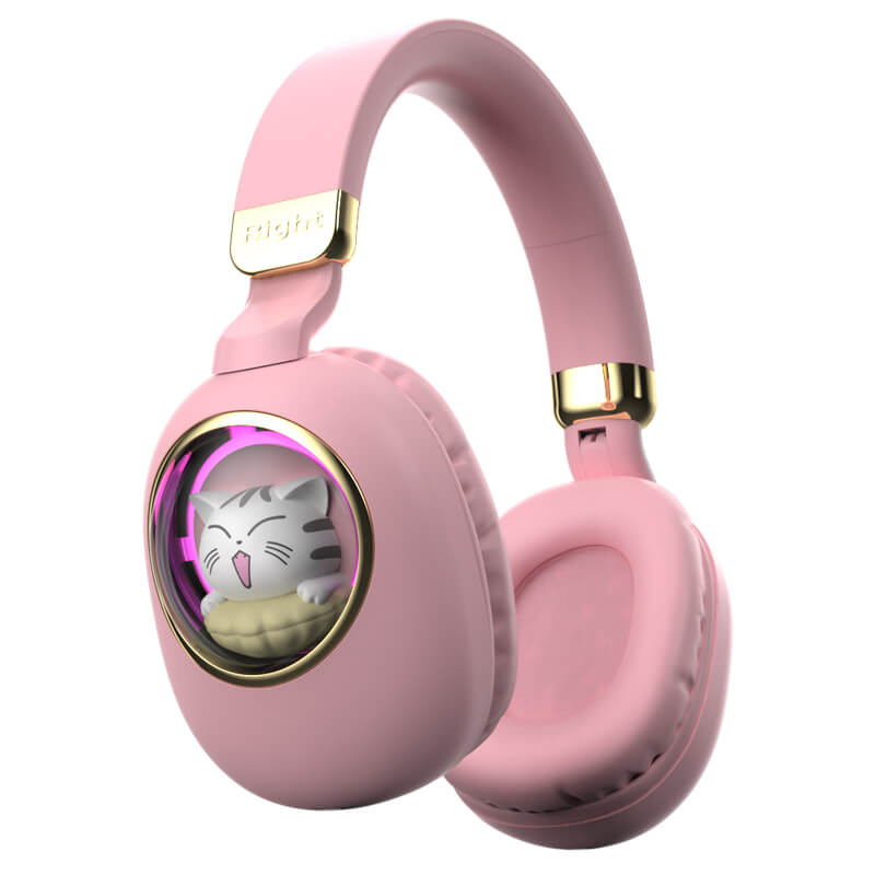 Girls Kids Headphones Wired - Pink Noise Cancelling Wireless Headphones for Kids for School